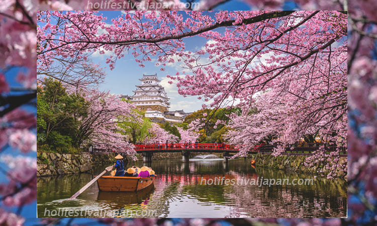 วัฒนธรรมการชมดอกซากุระ2 - วัฒนธรรมการชมดอกซากุระ เทศกาลที่คนเฝ้ารอ กับฤดูใบไม้ผลิของประเทศญี่ปุ่น