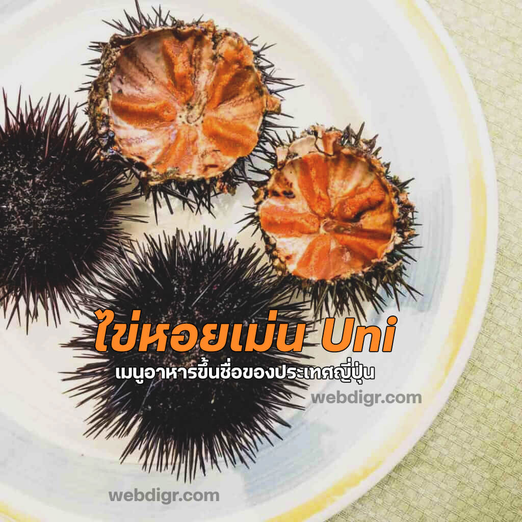 ไข่หอยเม่น (Uni)